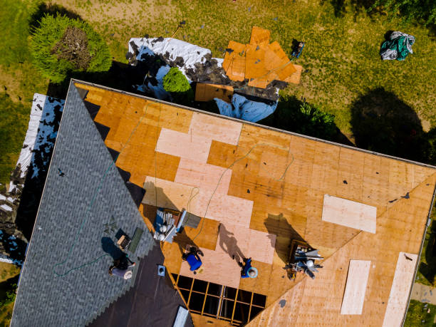 Best Best Roofing Contractors  in Horseshoe Bend, AR