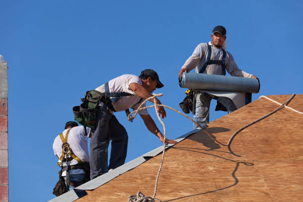 Best Local Roofing Companies  in Horseshoe Bend, AR