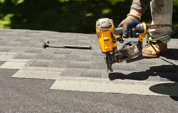 Best Roof Gutter Cleaning  in Horseshoe Bend, AR